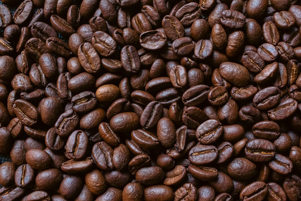 arabica vs robusta