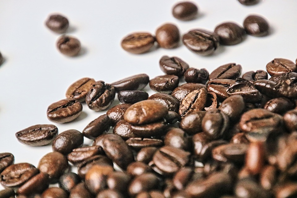 robusta coffee regions