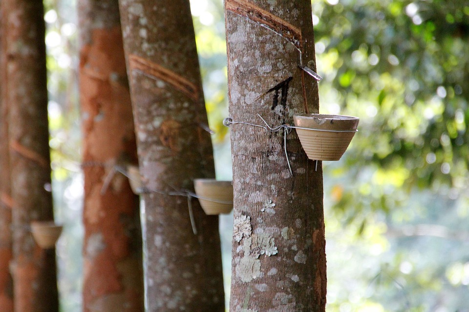 coffee extraction basics