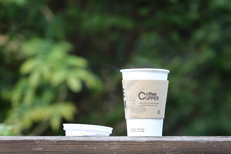 drip coffee guide