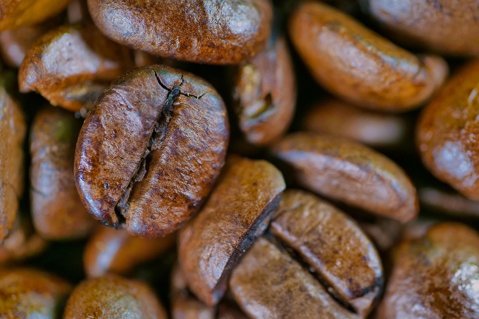 coffee beans types