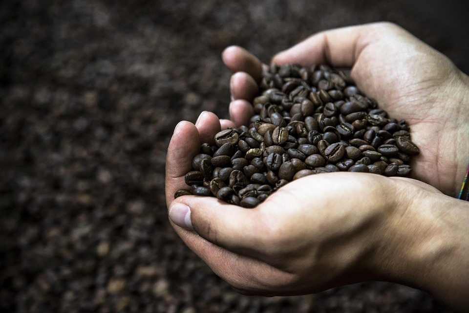 light roast coffee
